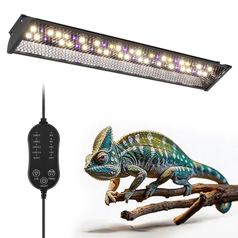 Lampu Braket Reptil, Kotak Pem - Calcium Powder Reptile ulasan dan harga