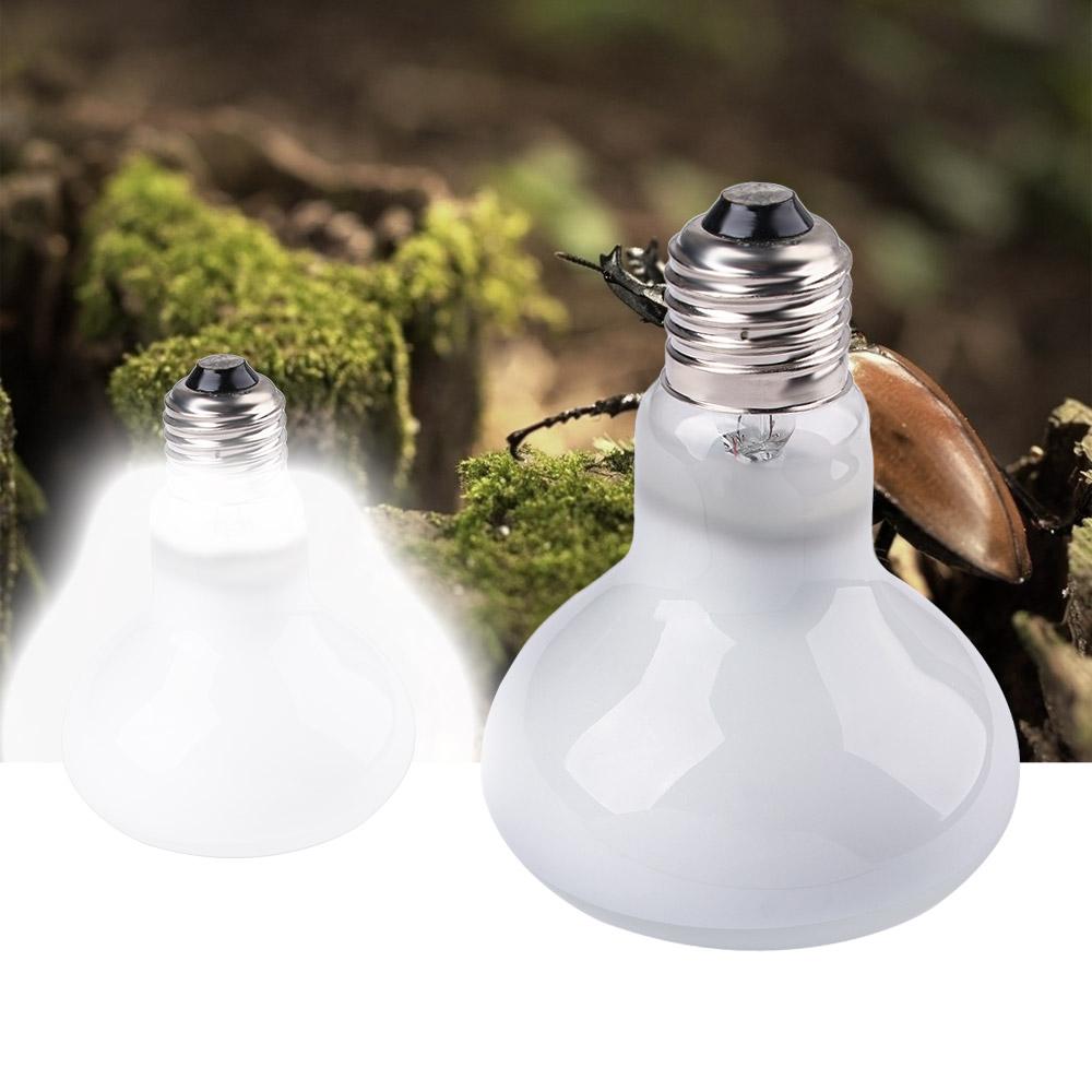 Lampu Pemanas Amfibi Lampu UVA - Basking Bulb Halogen ulasan dan harga