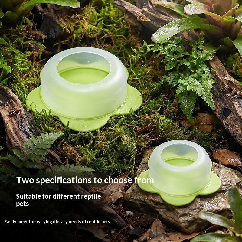 1Pc Mangkuk Makanan Reptil ABS - Water Dish Reptile ulasan dan harga
