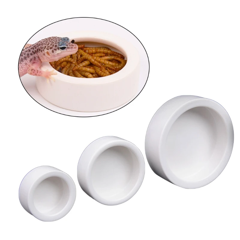 Mangkuk Makanan Reptil Anti La - Water Dish Reptile ulasan dan harga